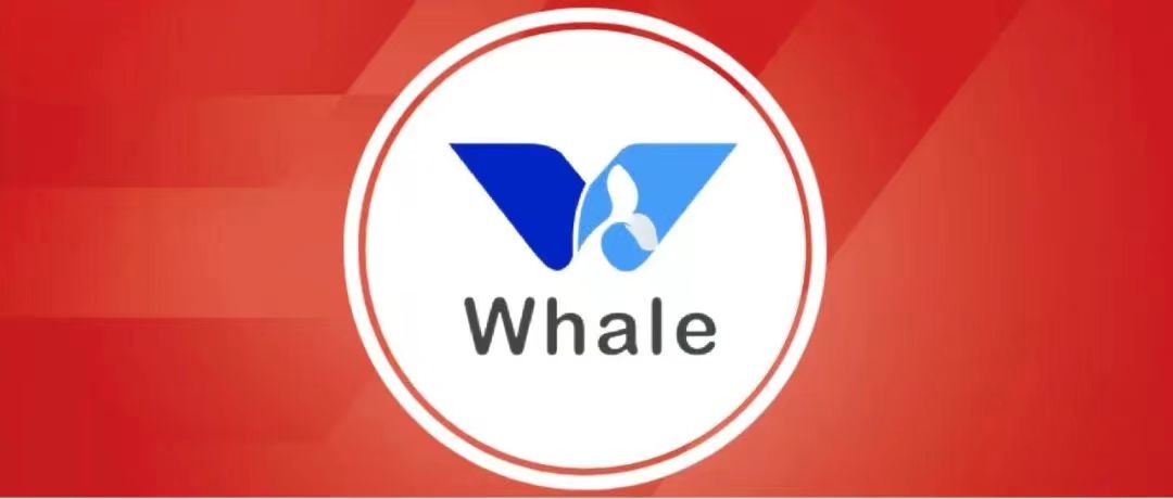 【凯泰动态】白鲸开源主导的SeaTunnel成为Apache顶级项目
