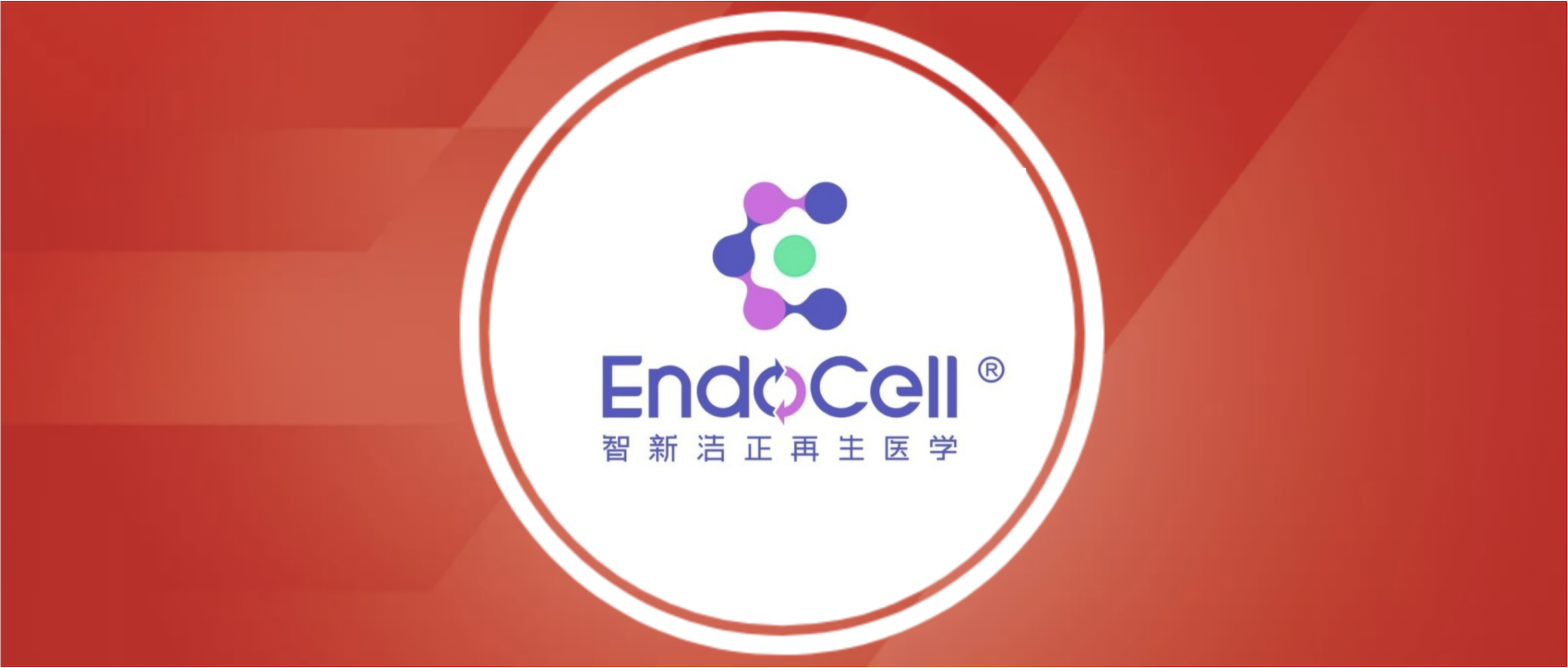 【凯泰已投企业动态】智新浩正完成2亿元融资！迈向糖尿病治愈的新阶段